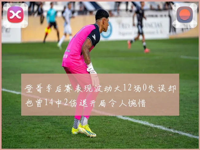 登哥季后赛表现波动大12场0失误却也曾14中2伤退开局令人惋惜