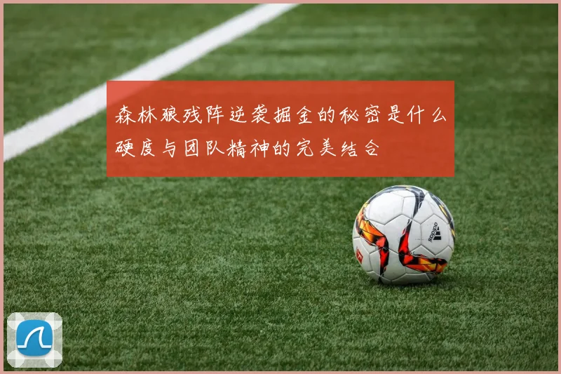 森林狼残阵逆袭掘金的秘密是什么硬度与团队精神的完美结合